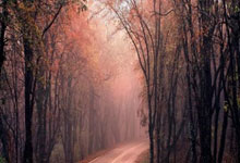 拜仁慕尼黑险胜不莱梅，艰难保持不败纪录，拜仁慕尼黑vs莱比锡红牛预测