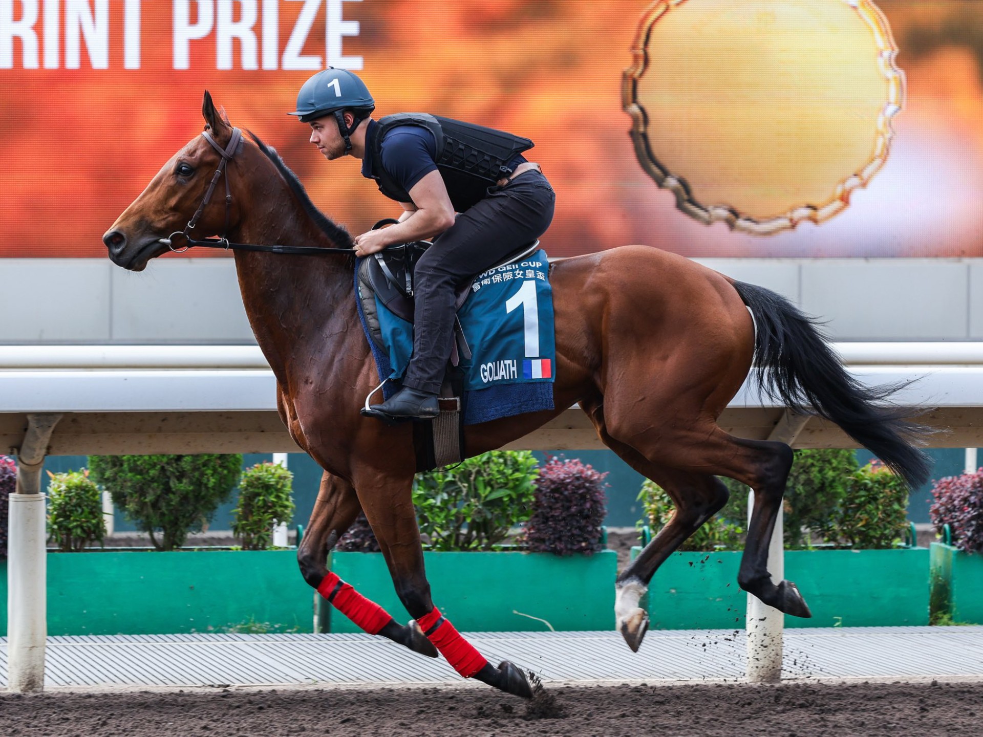 包含哥伦比亚大胜智利，成功挺进下一轮的词条