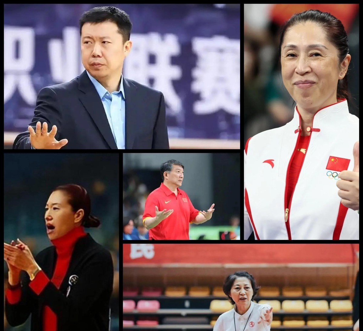 关于新晋球员表现抢眼，赢得主教练青睐！的信息